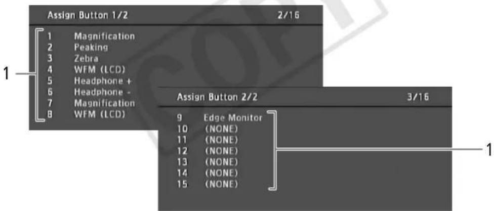 CANON EOS C300 EF - [Assign Button 1/2], [Assign Button 2/2] -Statusanzeige - 1