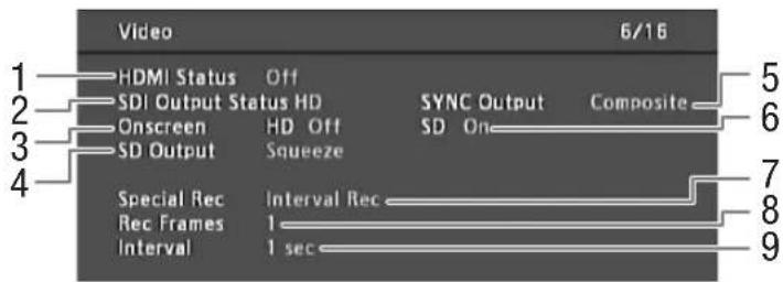 Video 6/16 HDMI Status Off SDI Output Status HD Onscreen HD Off SD Output Squeeze Sync Output Composite SD On Special Rec Interval Rec Rec Frames 1 Interval 1 sec