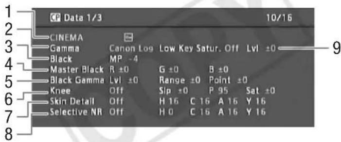 CANON EOS C300 EF - [CP Data 1/3]-Statusanzeige (nur CAMERA -Modus) - 1