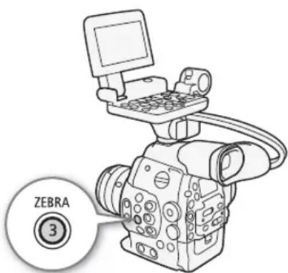 ZEBRA ③