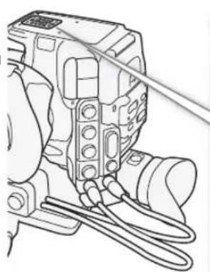 CANON EOS C300 EF - Verwendung eines Stativs mit 0,64-cm (1/4")-Befestigungsschrauben - 1