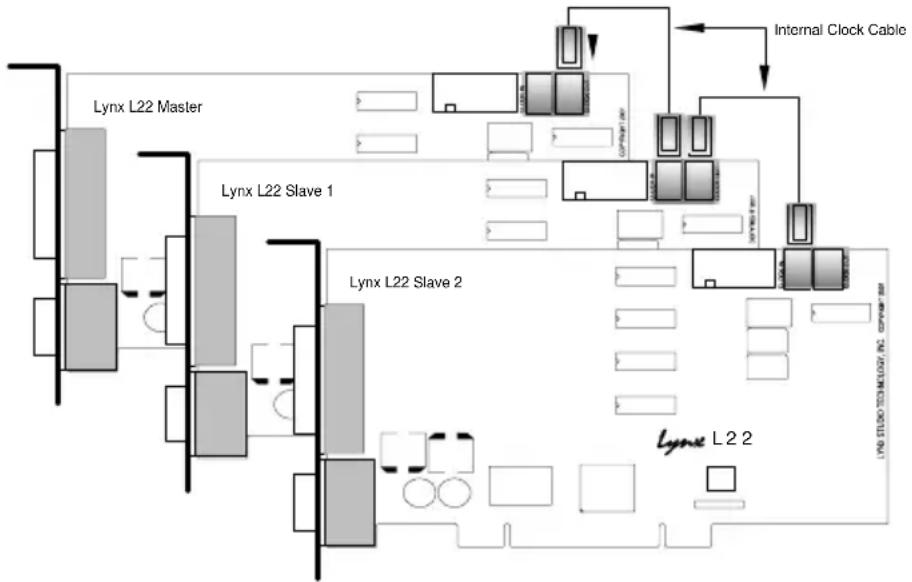 LYNX L22 - Cable Connections - 1