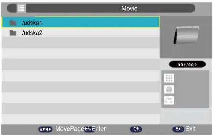 Tecovision LED32CHRDWHBD - Movie player - 1