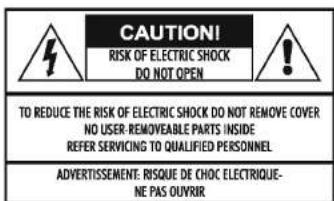 Audiolab 8200DQ - 1: Statutory & Safety Information - 1