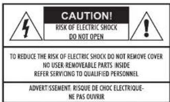 Audiolab 8200T - 1: Statutory & Safety Information - 1