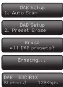 Audiolab 8200T - DELETING ALL PRESETS - 1