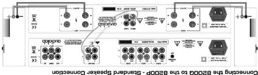 Audiolab 8200M - 3b: Connections-8200P & 8200M - 2