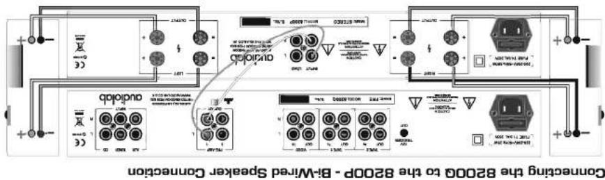 Audiolab 8200M - 3b: Connections-8200P & 8200M - 1