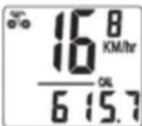 Filmer 40.117 - kALoRien (CAL): - 1
