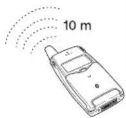 10 m