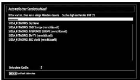 TechLine TL-22LE970 - Erste Installation - 5