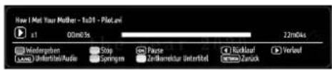 TechLine TL-22LE970 - Videos per USB anschauen - 2