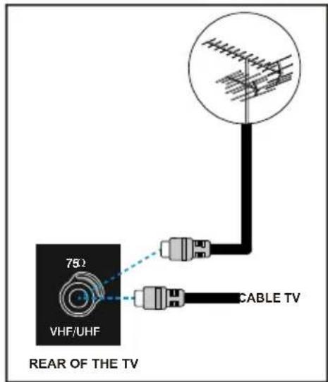 TechLine TL-32LC700 - Anschlussmöglichkeiten an der RF-Eingangsbuchse - 1