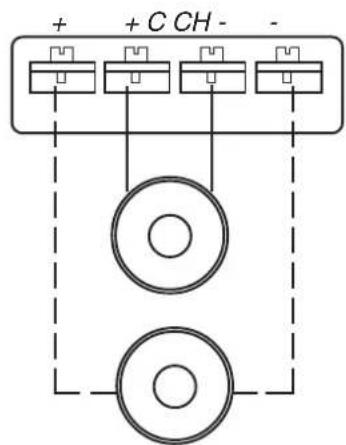 DLS CA23 - Speaker wiring CA 31 - 3