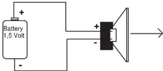 DLS CA23 - Checking polarity: - 1