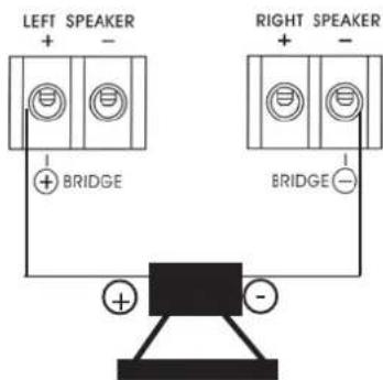 DLS RA40 - Speaker wiring RA20 - 4