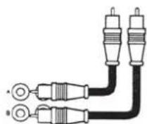 DLS RA40 - Low level input - 1