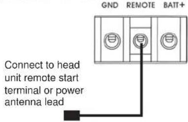 DLS RA40 - For RCA cable signal input: - 1