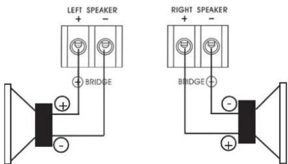 DLS RA40 - Speaker wiring RA20 - 1