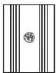 DLS RA10 - DLS logo on amplifier cooling flange - 2