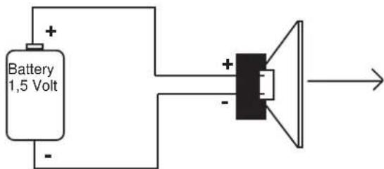 DLS RA10 - Checking polarity: - 1