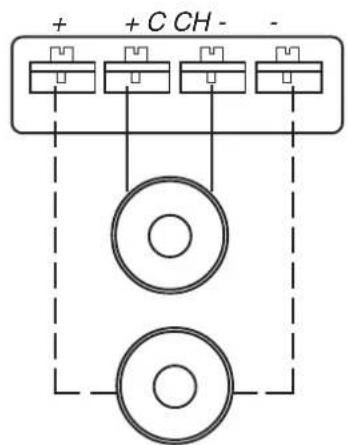 DLS CA31 - Speaker wiring CA 31 - 3