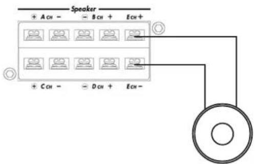 DLS CA31 - Subwoofer to CA51 - 1
