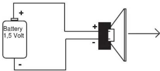 DLS CA31 - Checking polarity: - 1