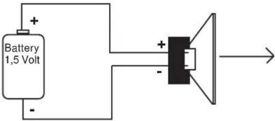 DLS CA12 - Checking polarity: - 1