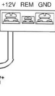 DLS CA12 - Power terminal (+12V) - 1