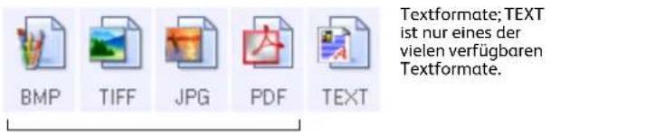 Textformate; TEXT ist nur eines der vielen verfügbaren Textformate.