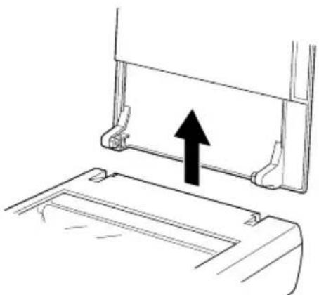 EPSON Perfection 1240 - Abdeckung für dicke oder großformatige Dokumente abnehmen (Perfection 1240U/Perfection 1240U Photo) - 2