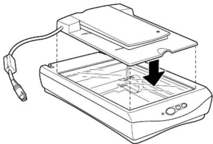 EPSON Perfection 1240 - Film-Adapter auspacken - 3