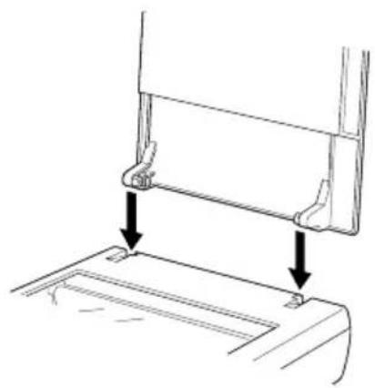 EPSON Perfection 1240 - Abdeckung für dicke oder großformatige Dokumente abnehmen (Perfection 1240U/Perfection 1240U Photo) - 3