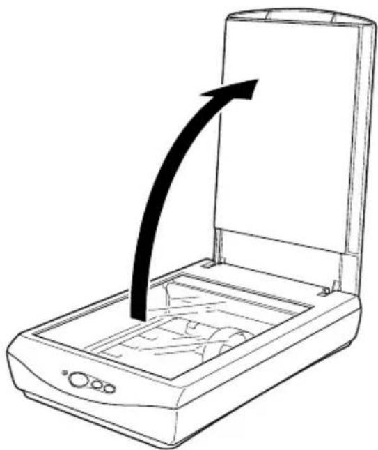 EPSON Perfection 1240 - Abdeckung für dicke oder großformatige Dokumente abnehmen (Perfection 1240U/Perfection 1240U Photo) - 1