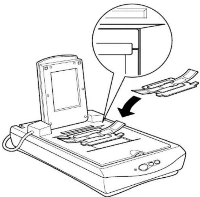 EPSON Perfection 1240 - (zum Scannen von EPSON® Photo Print aus) - 1
