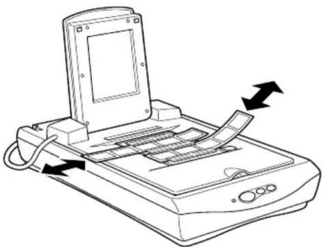 EPSON Perfection 1240 - Anmerkung: - 1