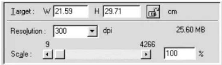 Target: W 21.59 H 29.71 cm Resolution: 300 dpi 25.60 MB Scale: 9 4266 100 %