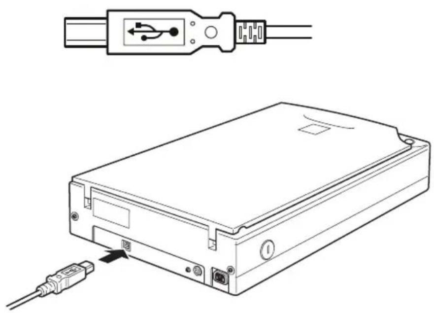 EPSON Perfection 1200 Photo - Scanner anschließen - 1