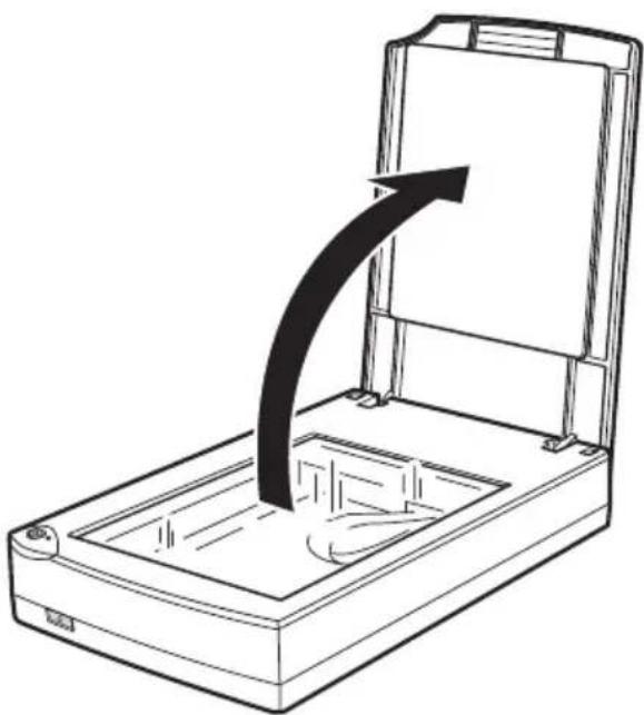 EPSON Perfection 1200 Photo - Vorlagenabdeckung abnehmen - 1