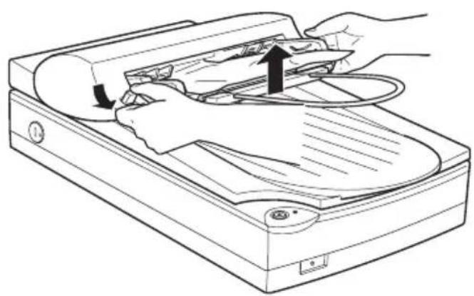 EPSON Perfection 1200 Photo - Papierstaus im automatischen Vorlageneinzug beseitigen - 1