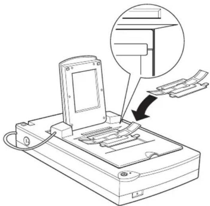 EPSON Perfection 1200 Photo - Achtung: - 3