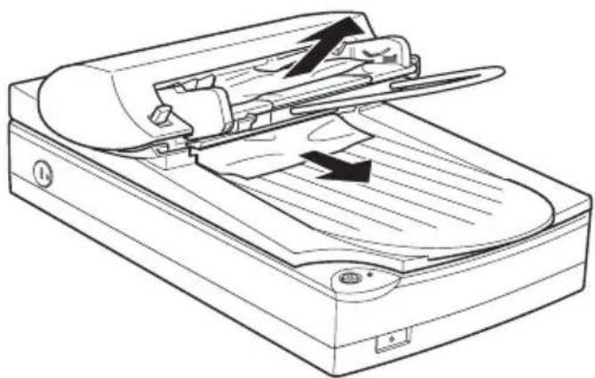 EPSON Perfection 1200 - Papierstaus im automatischen Vorlageneinzug beseitigen - 2