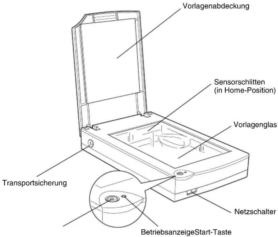 Vorlagenabdeckung Sensorschlitten (in Home-Position) Vorlagenglas Transportsicherung Netzschalter BetriebsanzeigeStart-Taste
