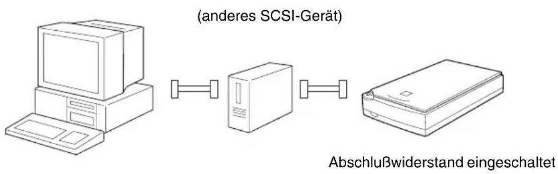 (anderes SCSI-Gerät) Abschlußwiderstand eingeschaltet