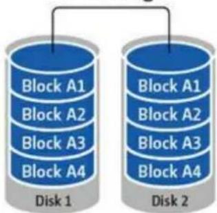QNAP VS-2204 PRO+ - 1-Mirroring-Datenträgervolume - 1