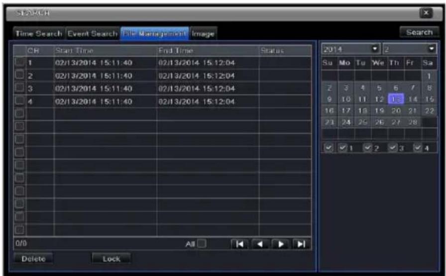 Provision-ISR NVR2-4100P - File Management - 1