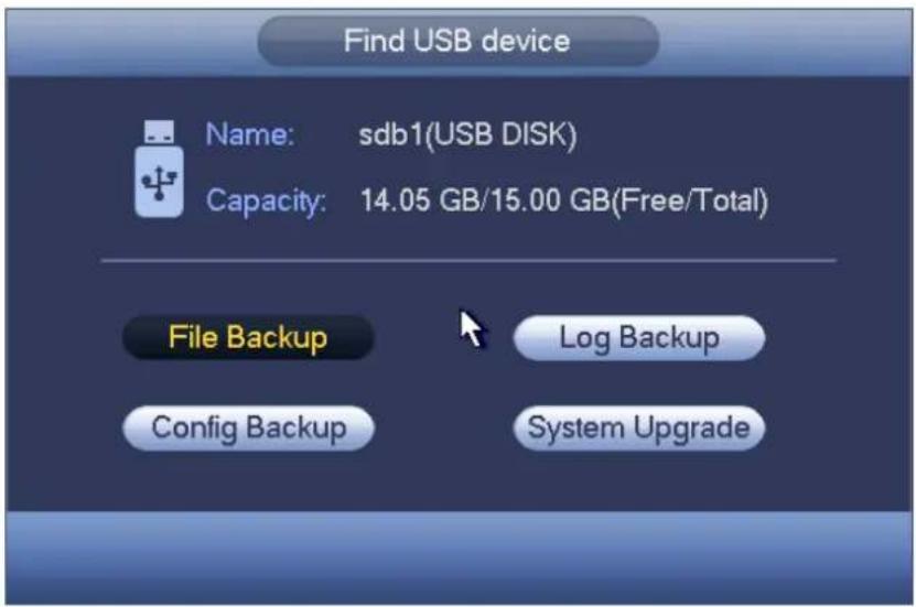 Dahua Technology Lite NVR4208-8P - USB Device Auto Pop-up - 1