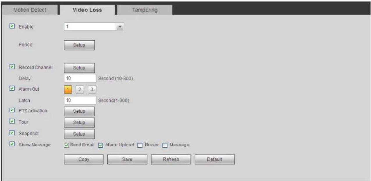 Dahua Technology Lite NVR4208-8P - Video Loss - 1