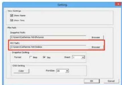Settings Show Settings Show Name Show Time File Path Snapshot Path: C:\Users\Cathems.\tch\Pictures Auto Path: C:\Users\Cathems.\tch\Video Browser Browser Snapshot Setting Format: Box - Auto Next 1 O3D Setting Color FontSize 20 OK Cancel